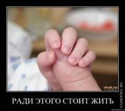 Прикрепленное изображение: x_56407118.jpg