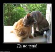 Прикрепленное изображение: 206362_da_ne_tuda.jpg