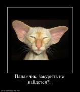 Прикрепленное изображение: 543889_patsanchik_zakurit_ne_najdetsya.jpg