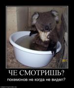 Прикрепленное изображение: 703255_che_smotrish.jpg