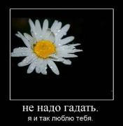 Прикрепленное изображение: x_00985092.jpg