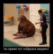 Прикрепленное изображение: x_9b8c6893.jpg