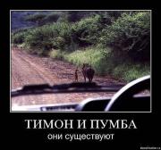 Прикрепленное изображение: x_421a6245.jpg