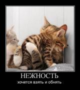 Прикрепленное изображение: x_a913815f.jpg