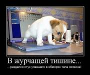 Прикрепленное изображение: x_dbfd13e2.jpg