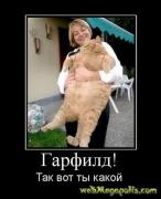 Прикрепленное изображение: jivau3jp4s9wnv7t.jpg