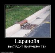 Прикрепленное изображение: 93940_paranojya.jpg