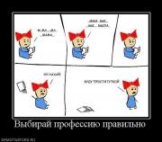 Прикрепленное изображение: 318740_vyibiraj_professiyu_pravilno1.JPG