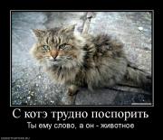 Прикрепленное изображение: 252445_s_kote_trudno_posporit.jpg