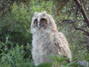 Прикрепленное изображение: DSC02432.JPG