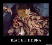 Прикрепленное изображение: ln5mrwsv7348.jpg