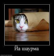 Прикрепленное изображение: 342059_ja_shaurma.jpg