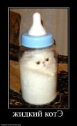 Прикрепленное изображение: 788240_zhidkij_kote.jpg