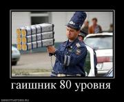 Прикрепленное изображение: 402291_gaishnik_80_urovnya.jpg