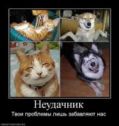 Прикрепленное изображение: 333284_neudachnik.jpg