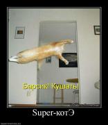 Прикрепленное изображение: 650766_super_kote.jpg
