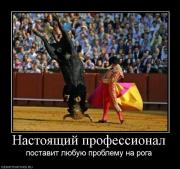 Прикрепленное изображение: 15196_nastoyaschij_professional.jpg