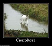 Прикрепленное изображение: 934113_svyatokote.jpg