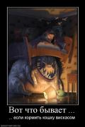 Прикрепленное изображение: 969795_vot_chto_byivaet_.jpg
