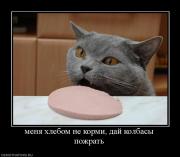 Прикрепленное изображение: 973596_menya_hlebom_ne_kormi_daj_kolbasyi_pozhrat.jpg