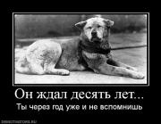 Прикрепленное изображение: 393268_on_zhdal_desyat_let.jpg