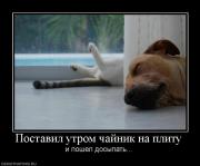 Прикрепленное изображение: 494481_postavil_utrom_chajnik_na_plitu.jpg