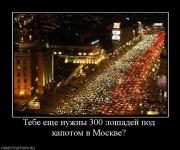 Прикрепленное изображение: 403609_tebe_esche_nuzhnyi_300_loshadej_pod_kapotom_v_moskve.jpg