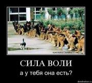 Прикрепленное изображение: x_15c886e3.jpg