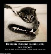 Прикрепленное изображение: x_8893c62d.jpg