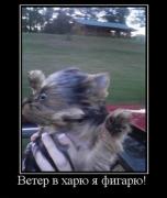 Прикрепленное изображение: 1134246A.jpg