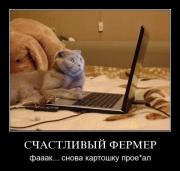 Прикрепленное изображение: 1097756D.jpg