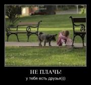 Прикрепленное изображение: 1122439S.jpg