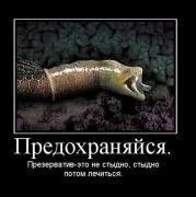 Прикрепленное изображение: 11199919.jpg