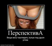 Прикрепленное изображение: 198327_perspektiva.jpg