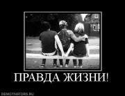 Прикрепленное изображение: 244806_pravda_zhizni.jpg