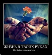 Прикрепленное изображение: demotivatory_1120_98.jpg