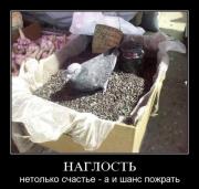 Прикрепленное изображение: tfrc.jpg