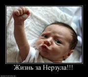 Прикрепленное изображение: 506846_zhizn_za_nerzula.jpg