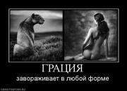 Прикрепленное изображение: 907660_gratsiya.jpg