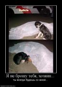 Прикрепленное изображение: 763052_ya_ne_broshu_tebya_hozyain.jpg