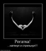 Прикрепленное изображение: 880189_rogatka.jpg