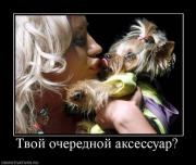 Прикрепленное изображение: 888960_tvoj_ocherednoj_aksessuar.jpg