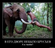 Прикрепленное изображение: ll77gq0zb6ma.jpg