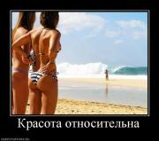 Прикрепленное изображение: 212426_krasota_otnositelna.jpg