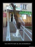 Прикрепленное изображение: 1rr88dajlbv4.jpg