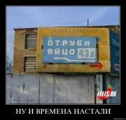 Прикрепленное изображение: xtctz0smbu62.jpg