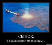 Прикрепленное изображение: vqa1eelizkiz.jpg