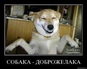 Прикрепленное изображение: j0z8eu2q63wi.jpg