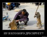 Прикрепленное изображение: iy2yw2ofguui.jpg