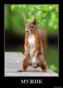 Прикрепленное изображение: fc5w5km5g9wt.jpg